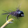 Nymphe Pheasant Tail noir avec bille noire métal
