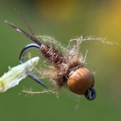 Nymphe Pheasant Tail naturel avec bille chocolat