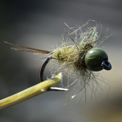 Nymphe l'Olivette avec bille olive foncé