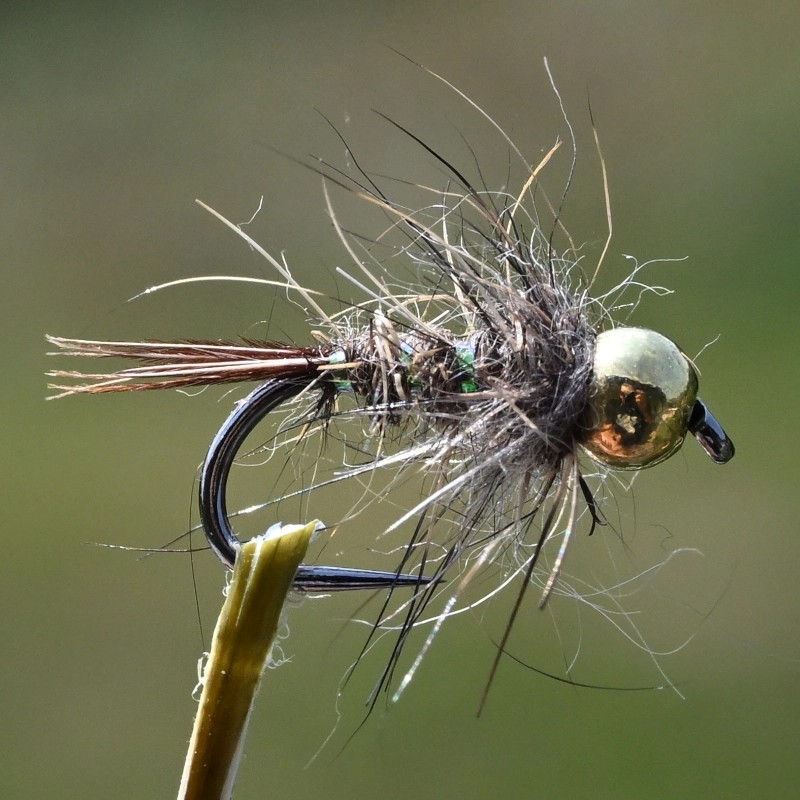 Nymphe Oreille de Lièvre avec bille or
