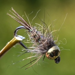 Nymphe Oreille de Lièvre avec bille or