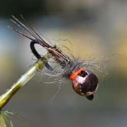 Nymphe Pheasant Tail naturel avec bille cuivre