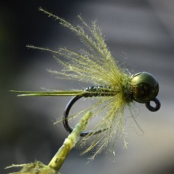 Nymphe la Dame Olive avec bille olive métallique