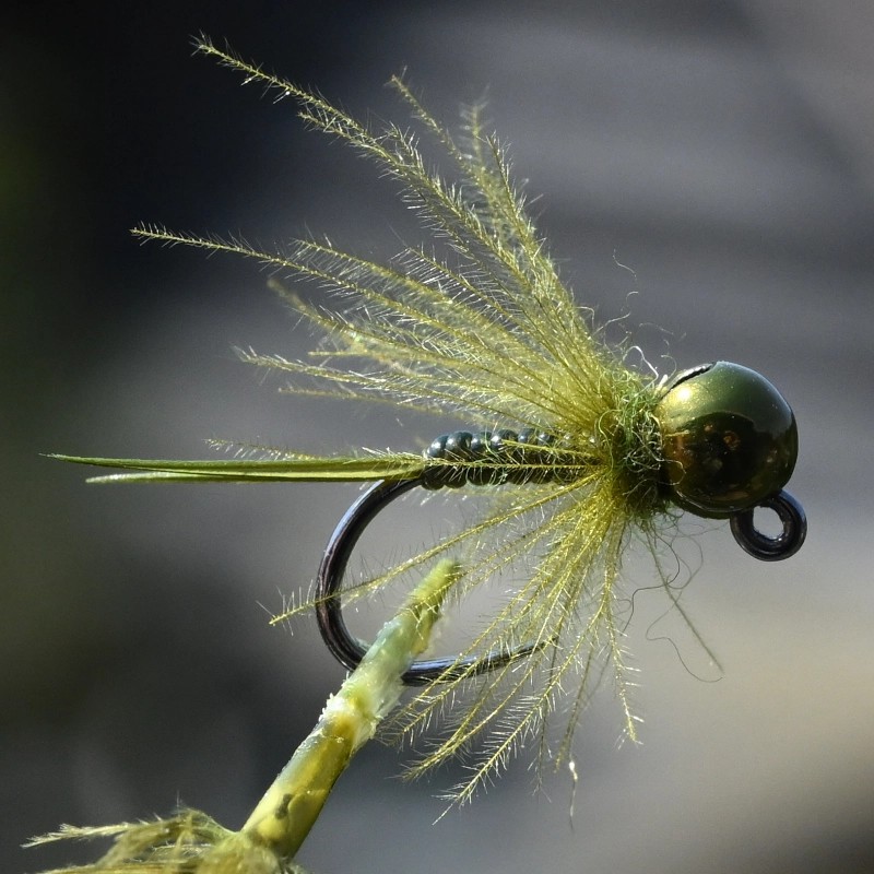 Nymphe la Dame Olive avec bille olive métallique