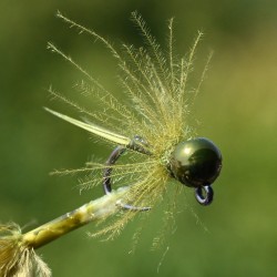 Nymphe la Dame Olive avec bille olive métal
