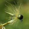 Nymphe la Dame Olive avec bille olive métal
