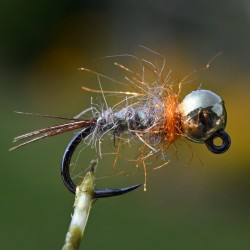 Nymphe Oreille de Lièvre avec bille or
