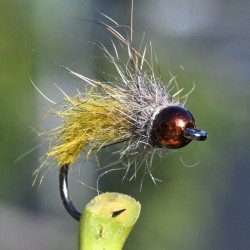 Nymphe Caddis jaune avec bille marron
