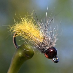 Nymphe Caddis jaune avec bille marron