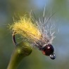 Nymphe Caddis jaune avec bille marron