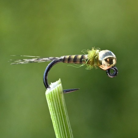 Mini Jig en Quill olive avec bille or