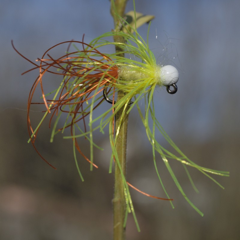 Jig Poulpe avec bille blanche.