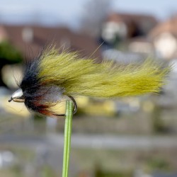 Streamer à Truite Zonker Olive