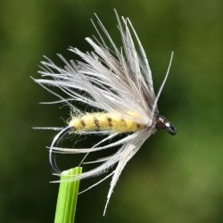 Mouche sèche la Peute jaune