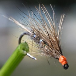 Mouche Sèche en Oreille de lièvre
