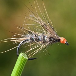 Mouche Sèche en Oreille de lièvre