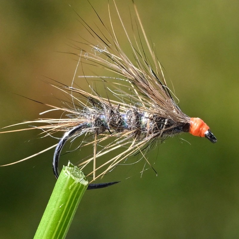 Mouche Sèche en Oreille de lièvre