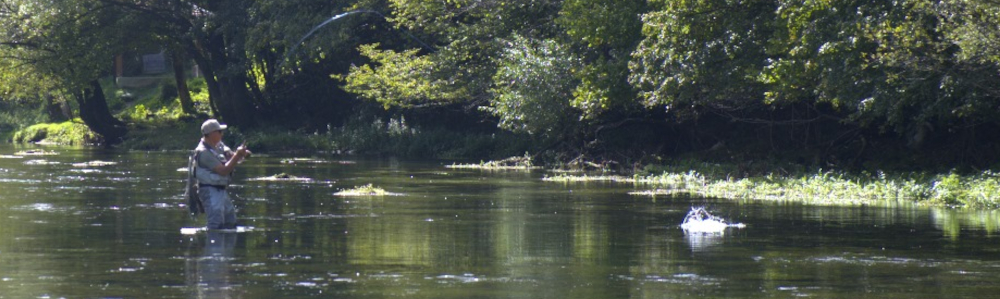 Cours de pêche à la mouche