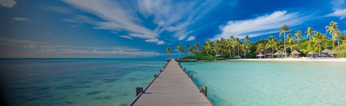 Etant en vacances du 6 au 17 mai, les livraisons reprendrons à partir du 18 mai...