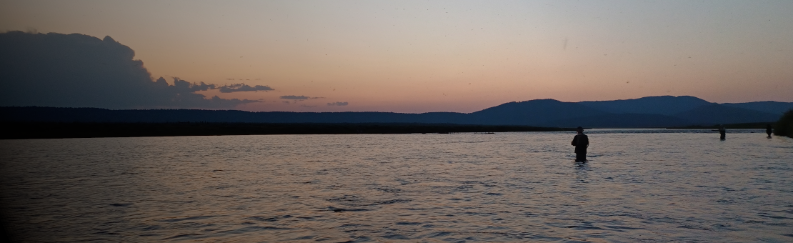 Visite cette rubrique, tu y trouveras peut-être ton bonheur...