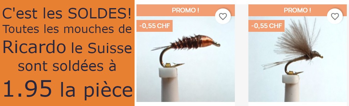 Les mouches de Ricardo le Suisse soldées