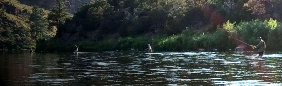 Sur mon site tu trouveras une grand choix pour ranger toutes tes mouches...